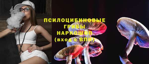 ECSTASY Каменка