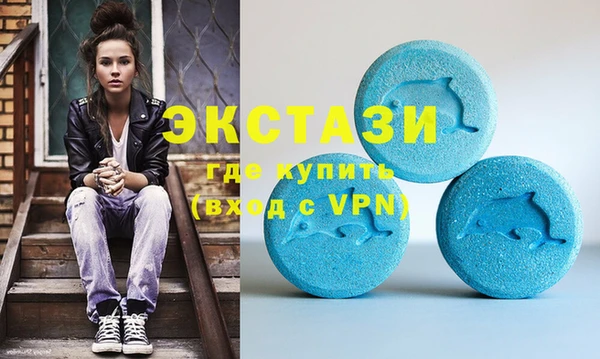 ECSTASY Каменка