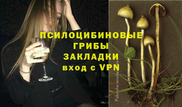прущая мука Каменногорск