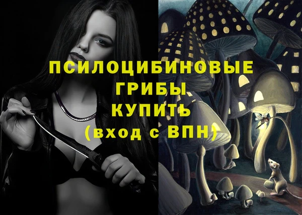 прущая мука Каменногорск