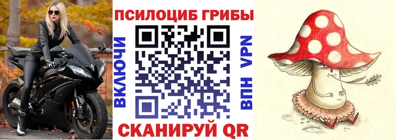 Галлюциногенные грибы Cubensis  Купить где  Берёзовский 